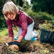 Banish Patio Weeds for Peanuts: The Safe, Simple Hack Gardeners Swear By