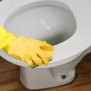 Banish Yellow Stains From Your Toilet Forever With This 47p Hack