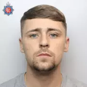 Bat Out of Hell! Driver's High-Speed M6 Horror as Winged Creature Smashes Through Windscreen