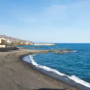 Blue Dragon Plague Strikes: Tourists Warned as Deadly Sea Slugs Invade Spanish Beaches