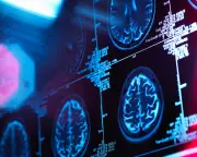 Brain Scans Reveal Shocking Link Between Income Inequality and Child Development