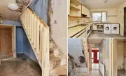 Britain's Worst House? Inside the Mould-Riddled UK Property Deemed 'Uninhabitable' by Experts