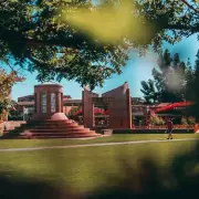 British Student's Sorority Shock: The Bizarre Hazing Rituals and 'Cult-Like' US University Initiation