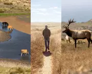 California's Point Reyes Farmers vs Environmentalists: A Bitter Clash Over Land & Legacy