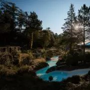 Center Parcs Staff Confess: The Shocking Secrets They Never Tell Guests | UK Travel Insider