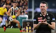 Channel Seven AFL Broadcast In Turmoil As F-Bomb Slips Live On Air: Caroline Wilson's On-Screen Blunder Sparks Viewer Fury