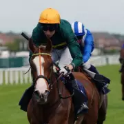 Cheltenham Festival 2024: The Newsboy's Unmissable Day 1 Tips & Betting Guide