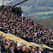 Cheltenham Festival Slashes Ticket Prices in Bold Bid to Fill Stands