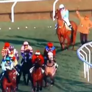 Cheltenham Festival Tragedy: Seven-Year-Old Gelding Moose Malone Dies After Heavy Fall