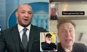 Conor McGregor Demands Irish President's Resignation in Explosive Elon Musk Endorsement