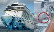 Cruise Passenger's 60-Foot Water Slide Nightmare: Stuck Mid-Descent on Norwegian Ship