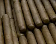 Cuba's Shocking Forced Labour Scandal: Prisoners 'Manufacturing Cigars & Charcoal' for Export