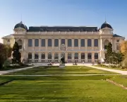 Daring Heist at Paris Museum: Priceless Gold Collection Stolen in Brazen Overnight Raid