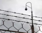 Daughter's Agony: NSW Woman Voluntarily Enters Prison After Father's Death, Exposing Systemic Failures