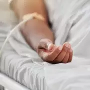 Deadly Fungus Sweeping Europe: UK Hospitals on High Alert for Candida auris