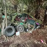 Desperate Search for Missing Dad Tom Phillips and His Three Children After Camping Trip Vanishing Act