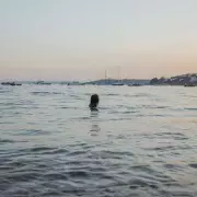 Discover Robin Hood's Bay: The UK's Most Breathtaking Hidden Gem Village You Have to See