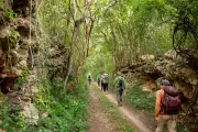 Discover the Mayan Camino del Mayab: Yucatán's Ancient Pathway Through Jungle & Sacred Cenotes