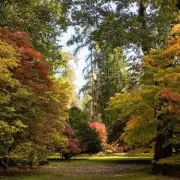 Discover the UK's Best Kept Secret: This Stunning Destination Crowned Top Spot for 2024 Staycations