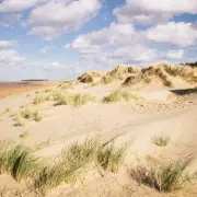 Discover the UK's Secret Golden Sand Beach: A Slice of the Caribbean Just Miles From London