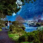 Enchanting UK Forest Trail With Magical Rainbow Canopy Is A Must-Visit Spring Spectacle