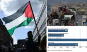 Exclusive Poll: Majority of Brits Sceptical of Palestine Recognition as Solution to Gaza Crisis