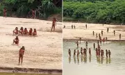 Fears for Uncontacted Amazon Tribe After Deadly Encounter With Outsiders