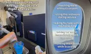 Flight Attendants Reveal: 10 'Rude' Passenger Habits That Actually Help Keep You Safe