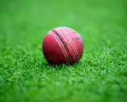 Former England Cricket Star Under Investigation Over Alleged Pub Assault and Drink Spiking