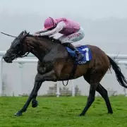 Friday's Racing Tips: Newsboy's Top Picks for Wolverhampton, Dundalk & Exeter