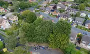 Fury in Plymouth as 110-Year-Old Oak Trees Face Axe to Protect 1980s Homes | Daily Mail