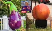 Fury in Westminster as Council Spends £22k on Giant Eggplant and Peach Statues | Public Art Debate Erupts