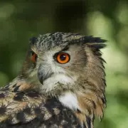 Garden Hose Ban Alert: Urgent Water-Saving Steps Every UK Household Must Take Now