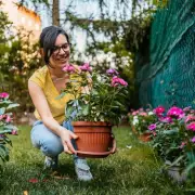 Gardeners Beware: The Common Weed That Could Cost You Thousands in Fines