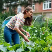Gardeners' Secret: 3-Ingredient Homemade Fertiliser Recipe for Lush Plants & Big Savings