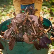 Gardeners Urged: Do This One Crucial Task With Fallen Leaves Now For A Thriving Spring Garden