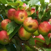 Gardening Expert Reveals: The One Job You Should NEVER Do in May for a Thriving Garden