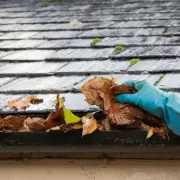 Gardening Experts Reveal 5 Genius Hacks to Stop Autumn Leaves Clogging Your Drains