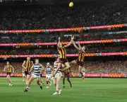 Geelong Edge Hawthorn in AFL Preliminary Final Thriller to Secure Grand Final Berth