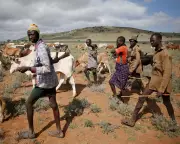 Genetic Marvel: How Kenya's Turkana People Evolved to Thrive in Extreme Harsh Environments