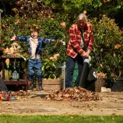 Get Your Garden Autumn-Ready: 7 Essential Tips for a Vibrant Winter Garden