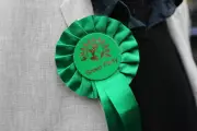 Green Party Surges in London as Co-Leader Secures Parliamentary Seat in Historic By-Election
