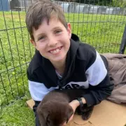 Grieving Father's Memorial Speech Shattered by Sobbing Woman's Outburst in Court