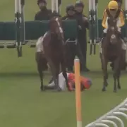 Hamilton Walkover Drama as Jockey's Terrifying Fall Halts Race Before Start