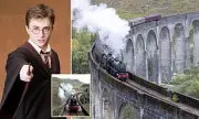 Harry Potter Studio Tour Crisis: Overwhelmed Fans Push Warner Bros Attraction to Breaking Point