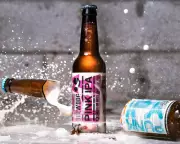 Has BrewDog Lost Its Bite? Sales Stall as 'Punk' Ethos Fades | Business Analysis