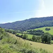 Headteacher's Final Heartbreaking Words Revealed Before Tragic Jump from Bridge