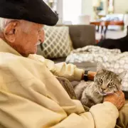 Heartbreak as Britain's Oldest Cat, Flossie, Passes Away at Nearly 28 | Pet Bereavement