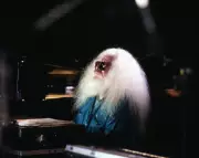 Hermeto Pascoal: The Unconventional Genius Who Redefined Brazilian Music