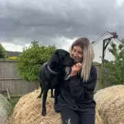 Heroic Hound Saves Family from Carbon Monoxide Nightmare: 'He's Our Guardian Angel'